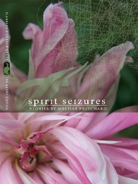 Cover Spirit Seizures