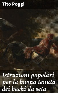 Cover Istruzioni popolari per la buona tenuta dei bachi da seta