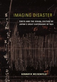 Cover Imaging Disaster