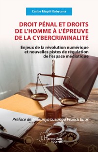 Cover Droit penal et droits de l'homme a l'epreuve de la cybercriminalite