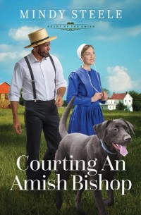 Cover Courting an Amish Bishop