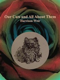 Cover Our Cats and All About Them