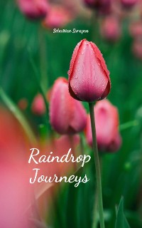 Cover Raindrop Journeys