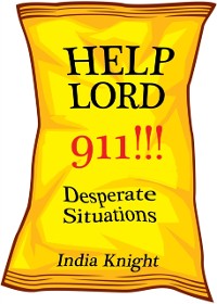 Cover Help Lord 911!!!