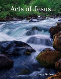 Cover Acts of Jesus