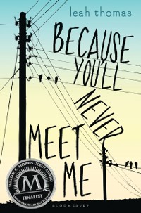 Cover Because You'll Never Meet Me