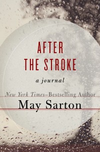 Cover After the Stroke