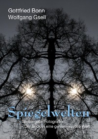 Cover Spiegelwelten