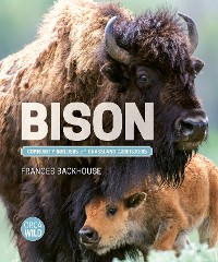 Cover Bison