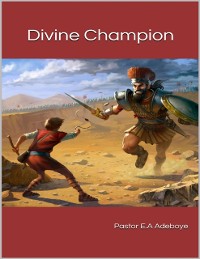 Cover Divine Champion