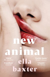 Cover New Animal