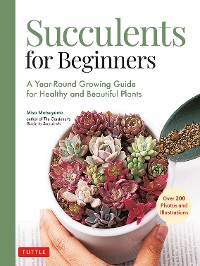 Cover Succulents for Beginners
