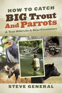 Cover How to Catch Big Trout and Parrots