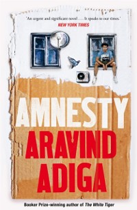 Cover Amnesty