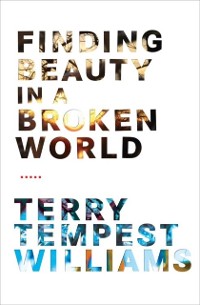 Cover Finding Beauty in a Broken World