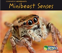 Cover Minibeast Senses