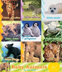 Cover Baby Animals in the Wild (set)