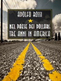 Cover Nel paese dei dollari: tre anni in America