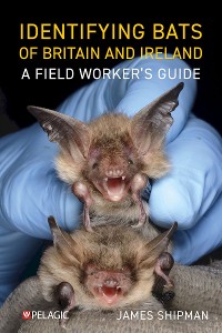 Cover Identifying Bats of Britain and Ireland