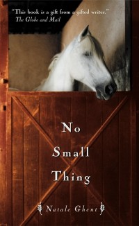 Cover No Small Thing