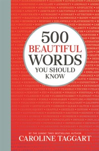 Cover 500 Beautiful Words You Should Know