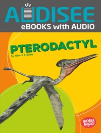 Cover Pterodactyl