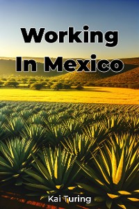 Cover Working In Mexico