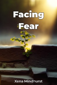 Cover Facing Fear