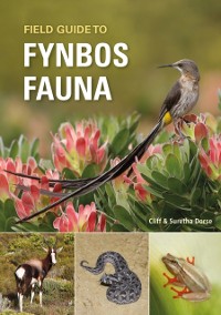 Cover Field Guide to Fynbos Fauna