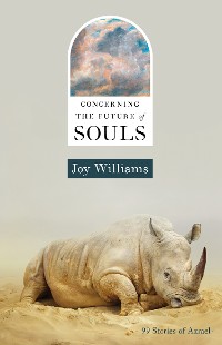 Cover Concerning the Future of Souls