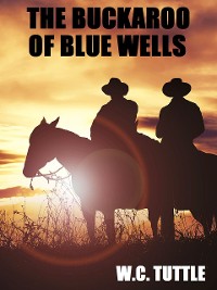 Cover The Buckaroo of Blue Wells