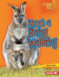 Cover Meet a Baby Wallaby