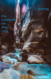 Cover Das Geheimnis der alten Lady