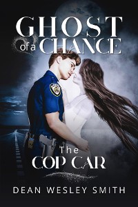 Cover The Cop Car