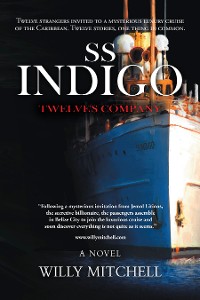 Cover Ss Indigo