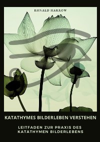 Cover Katathymes Bilderleben  verstehen