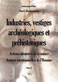 Cover Industries, vestiges archéologiques et préhistoriques - Action aléatoire de la nature & Action intentionnelle de l’Homme - Volume VI