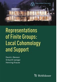 Cover Representations of Finite Groups: Local Cohomology and Support