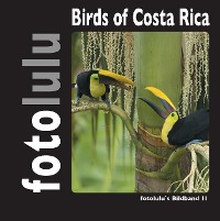 Cover Birds of Costa Rica