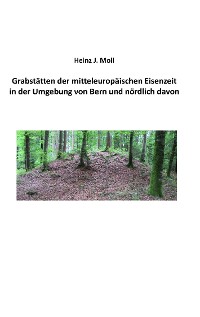 Cover Grabstätten der mitteleuropäischen Eisenzeit in der Umgebung von Bern und nördlich davon