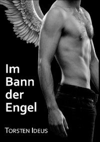 Cover Im Bann der Engel