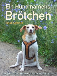 Cover Ein Hund namens Brötchen