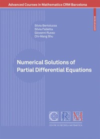 Cover Numerical Solutions of Partial Differential Equations