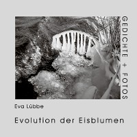 Cover Evolution der Eisblumen