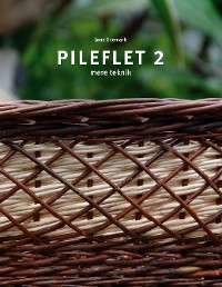 Cover Pileflet 2