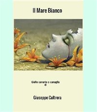 Cover Il Mare Bianco