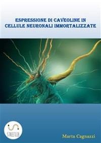 Cover Espressione di caveoline in cellule neuronali immortalizzate