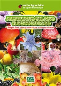 Cover Altipiano Silano il Sottobosco