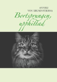 Cover Bortsprungen, upphittad