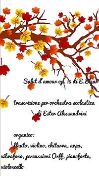 Cover Salut d'amour di E.Elgar